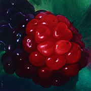 1023
333mm x  333mm    2017