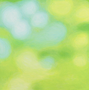 1031
910mm x  910mm    2018