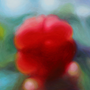 1046606mm x 606mm  2020