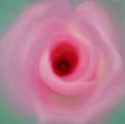 1047910mm x 910mm  2020