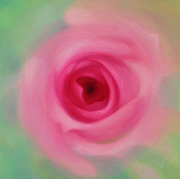 1048910mm x 910mm  2020