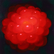 1051606mm x 606mm  2021