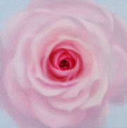 1054910mm x 910mm  2021