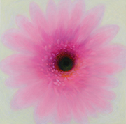 1055910mm x 910mm  2021