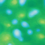 1059606mm x 606mm  2021