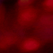 1092333mm x 333mm  2023