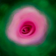 1115333mm x 333mm  2024