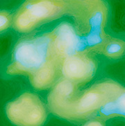 1120333mm x 333mm  2024