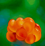 1131333mm x 333mm  2025