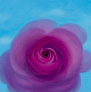 1133333mm x 333mm  2025