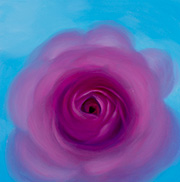 1134333mm x 333mm  2025