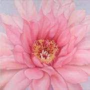 714
1620mm x 1620mm    2006