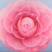 716
1620mm x 1620mm    2006