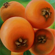 727
606mm x 606mm    2006