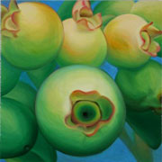 728
606mm x 606mm    2006