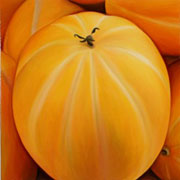 730
606mm x 606mm    2006