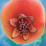 736
1303mm x 1303mm    2007