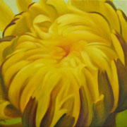 747
333mm x 333mm    2007