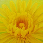 749
333mm x 333mm    2007