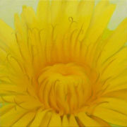 750
333mm x 333mm    2007