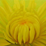 751
333mm x 333mm    2007