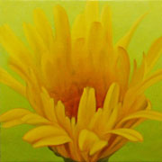 754
333mm x 333mm    2007