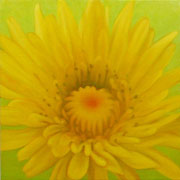 757
333mm x 333mm    2007