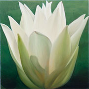 759
606mm x 606mm    2007