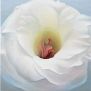 761
606mm x 606mm    2007