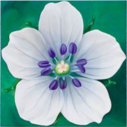 765
606mm x 606mm    2007