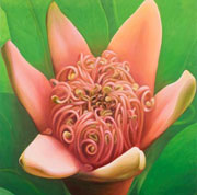 782
1167mm x 1167mm    2008