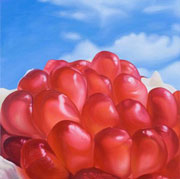 785
1303mm x 1303mm    2008