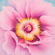 797
333mm x 333mm    2009