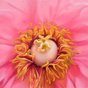 798
333mm x 333mm    2009