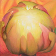 804
333mm x 333mm    2009