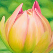 806
333mm x 333mm    2009