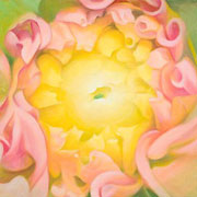 807
333mm x 333mm    2009