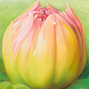 809
333mm x 333mm    2009