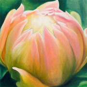 811
333mm x 333mm    2009