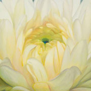 813
333mm x 333mm    2009