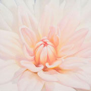 814
333mm x 333mm    2009