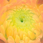 822
606mm x 606mm    2009