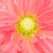 833
333mm x 333mm    2009