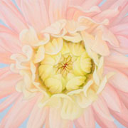 834
333mm x 333mm    2009