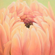 835
333mm x 333mm    2009