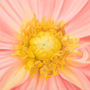 836
333mm x 333mm    2009