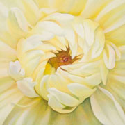 837
333mm x 333mm    2009