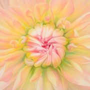 838
333mm x 333mm    2009