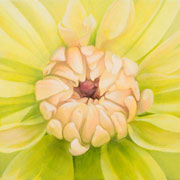 839
333mm x 333mm    2009