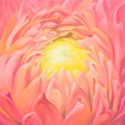 840
333mm x 333mm    2009